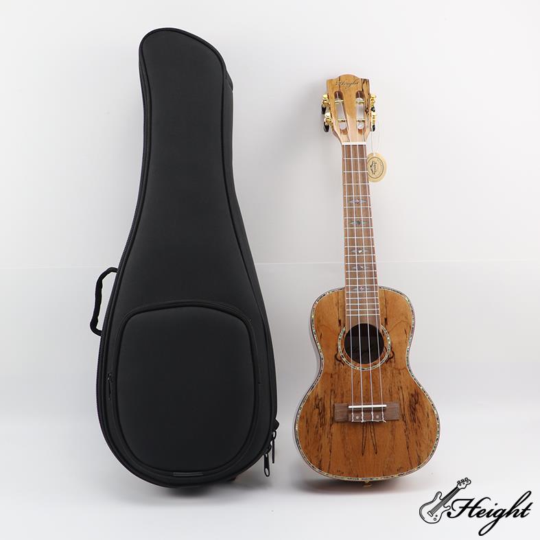 Ukulele Bag Concert