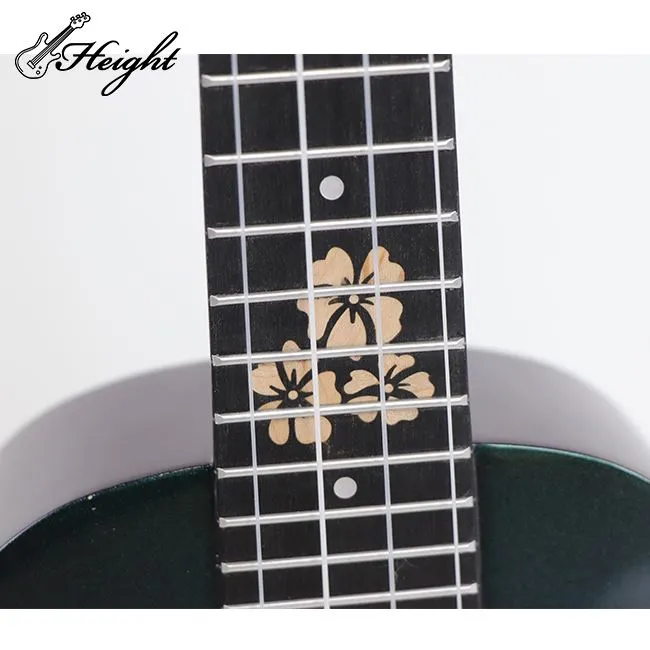 ukulele for beginer